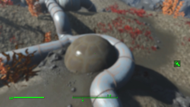 Illustration for article titled The Mystery of What Fallout 4 Hides Underwater